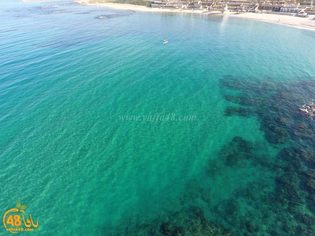 kazakhananna (3).JPG